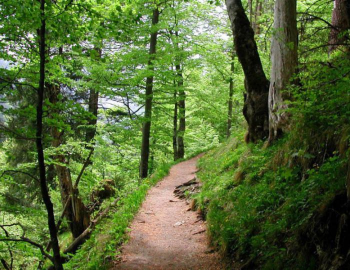 Терренкур - Санаторий «Источник» Ессентуки