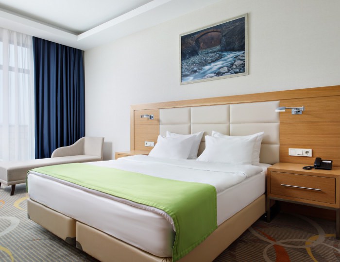 Стандарт - Санаторий «Источник» Ессентуки