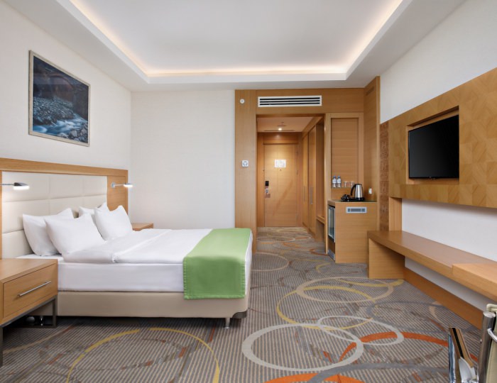 Стандарт - Санаторий «Источник» Ессентуки