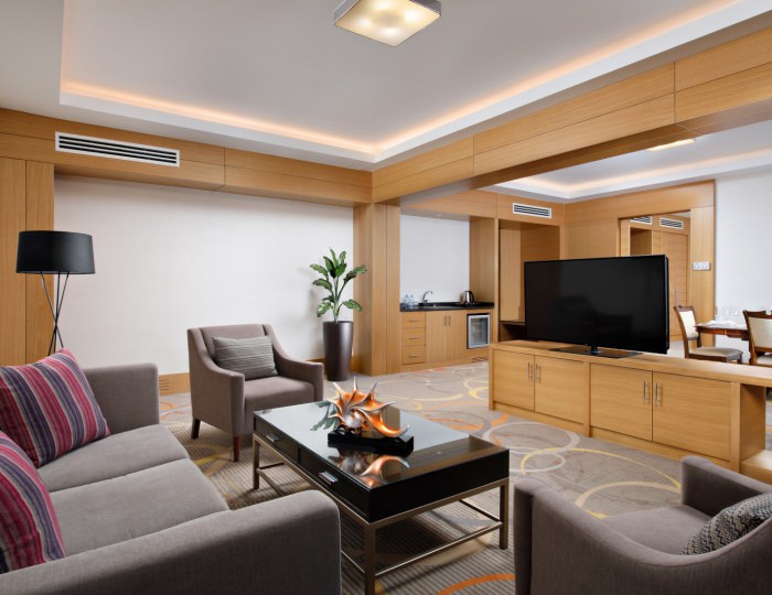 Апартамент - Санаторий «Источник» Ессентуки